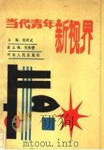 当代青年新视界 1991 PDF电子版封面 7215013952 程明武主编