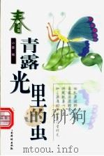 春·青露光里的虫   1999  PDF电子版封面  7801203550  小薪编 