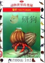 动物世界的奥秘 图集 27 螯虾 蜕壳甲壳纲动物 1995 PDF电子版封面 7500620268 郭瑞臣译
