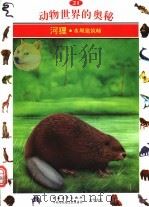 动物世界的奥秘  图集  21  河狸  水坝建筑师（1995 PDF版）
