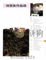 中国百名一级注册建筑师作品选  3  刘克良作品选   1998  PDF电子版封面  7112034760  《建筑师》编委会编 