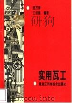 实用瓦工   1992  PDF电子版封面  7538802223  庞万泽，王绍德编著 