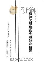 1999年精神文明建设典型经验精编（ PDF版）