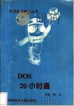 DOS 20小时通 1996 PDF电子版封面 7502327541 钟合主编