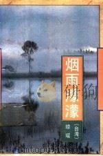 烟雨蒙蒙   1991  PDF电子版封面  7506304171  （台湾）琼瑶著 