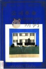 公司革命 股份制企业的组建与管理 1998 PDF电子版封面 780065608X 甘华鸣编著