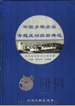 中国乡镇企业专题成功经验典范 上 1999 PDF电子版封面 7507305708 姜永涛,宗锦耀主编;农业部乡镇企业局编著