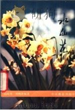 水仙花   1980  PDF电子版封面  16046·1004  陈时璋，刘熙隆编著 