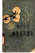 棉花及其栽培 1958 PDF电子版封面 16119·135 陈布圣,杨会盛等编著