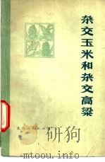 杂交玉米和杂交高梁 1974 PDF电子版封面 16071·6 北京市农业科学院研究所编