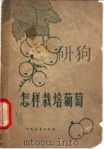 怎样栽培葡萄   1956  PDF电子版封面  16046·374  曾骧等编 