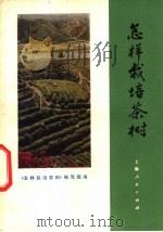 怎样栽培茶树 1973 PDF电子版封面 16171·81 《怎样栽培茶树》编写组编