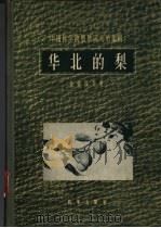华北的犁   1958  PDF电子版封面  16031·97  俞德浚等著 