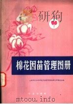 棉花因苗管理图册 1979 PDF电子版封面 16144·1849 上海市农业科学院作物育种栽培研究所棉花组编