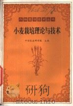 小麦栽培理论与技术 1979 PDF电子版封面 16144·1886 中国农业科学院主编