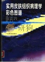 实用皮肤组织病理学彩色图谱 1993 PDF电子版封面 7535912370 陈锡唐等主编