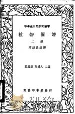 植物图谱 上、下 1936 PDF电子版封面 沐绍良编