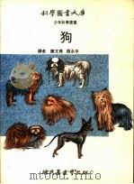 狗 1971 PDF电子版封面 陈文典,张永年译