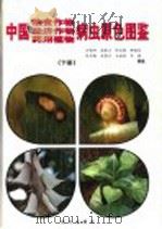 中国粮食作物、经济作物、药用植物病虫原色图鉴  下   1999  PDF电子版封面  7805955425  吕佩珂，高振江，张宝棣，郝俊星，张冬梅，苏慧兰，王树林，吕超 