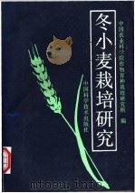 冬小麦栽培研究   1992  PDF电子版封面  7504606472  中国农业科学院作物育种栽培研究所编 