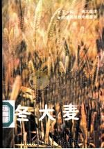 冬大麦 1987 PDF电子版封面 7536402074 王一民,傅大雄译