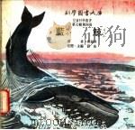 蓝鲸 1975 PDF电子版封面 刘拓主编