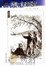 汤姆·索亚历险记 1998 PDF电子版封面 7020038905 (美)马克·吐温(Mark Twain)著;成时译