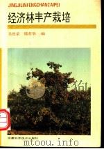 经济林丰产栽培 1993 PDF电子版封面 7533708687 吴根荣,邢有华编