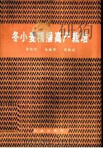 冬小麦精播高产栽培   1988  PDF电子版封面  7109003191  余松烈编 