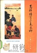 怎样培育小麦良种   1972  PDF电子版封面  16171·60  《怎样培育小麦良种》编写组编 