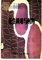 花生栽培与利用 1981 PDF电子版封面 16195·55 (美)圣安吉洛(A.J.StAngelo)著;山东省花生研究