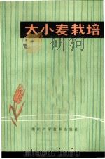 大小麦栽培 1978 PDF电子版封面 16221·6 浙江农业大学农学系作物栽培教研组编