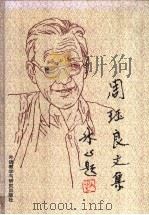 周珏良文集   1994  PDF电子版封面  7560007481  周珏良著 