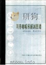 耳鼻咽喉科解剖图谱（ PDF版）