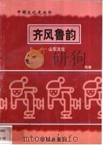 齐风鲁韵-山东文化 1997 PDF电子版封面 7544107140 张敏编著
