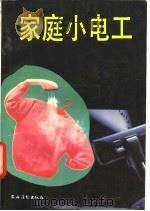 家庭小电工 1992 PDF电子版封面 7504819492 纪宝仁主编