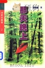 那天晚上 1996 PDF电子版封面 7541115541 徐晓鹤著