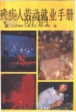 残疾人劳动就业手册 1991 PDF电子版封面 7800538621 中国残疾人联合会群工部编