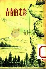 青春的光彩 1955 PDF电子版封面 本社编