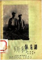 电影文学剧本 卧龙湖 1959 PDF电子版封面 10061·148 陈登科,鲁彦周著