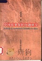 中国农业保护问题研究 1999 PDF电子版封面 710906123X 潘盛洲著