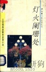 灯火阑珊处 1993 PDF电子版封面 7541806943 严沁著