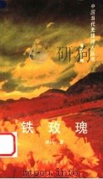 铁玫瑰 1994 PDF电子版封面 780074874X 冰马著