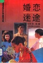 婚恋迷途   1992  PDF电子版封面  7805791716  李琼，陈墨著 