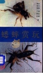蟋蟀赏玩 1988 PDF电子版封面 7805350493 沈水根等著