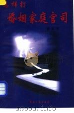 怎样打婚姻家庭官司  有朝一日你也会成为大律师   1999  PDF电子版封面  780127072X  蔡菁编著 