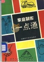家庭制作一点通 1990 PDF电子版封面 7533706022 陈淮民,陈士斌编著