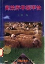 高效养羊短平快 1998 PDF电子版封面 7800963128 王毅编