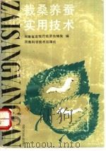栽桑养蚕实用技术   1990  PDF电子版封面  7534906865  梁长俭，段传章编著 
