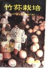 竹荪栽培 1992 PDF电子版封面 7535908950 林捷能等编著